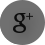 Google Plus